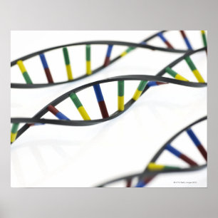 DNA-molekyler (deoxiribonukleinsyra). Poster