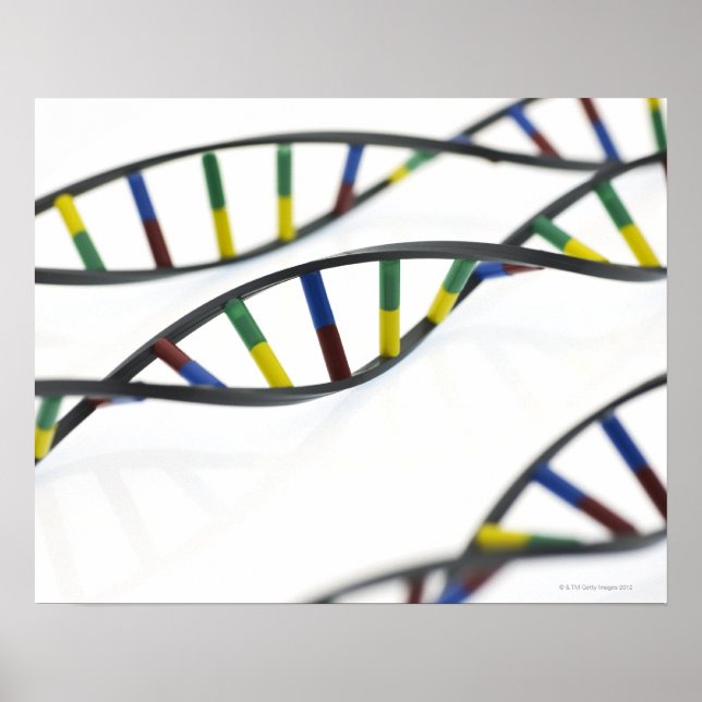 DNA-molekyler (deoxiribonukleinsyra). Poster (Framsidan)