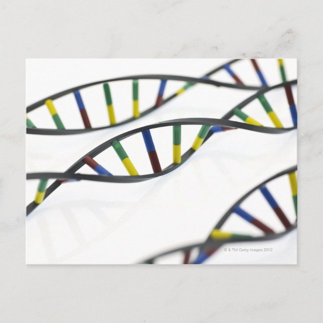 DNA-molekyler (deoxiribonukleinsyra). Vykort (Framsida)