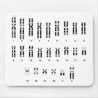 Dna-mousepad Musmatta
