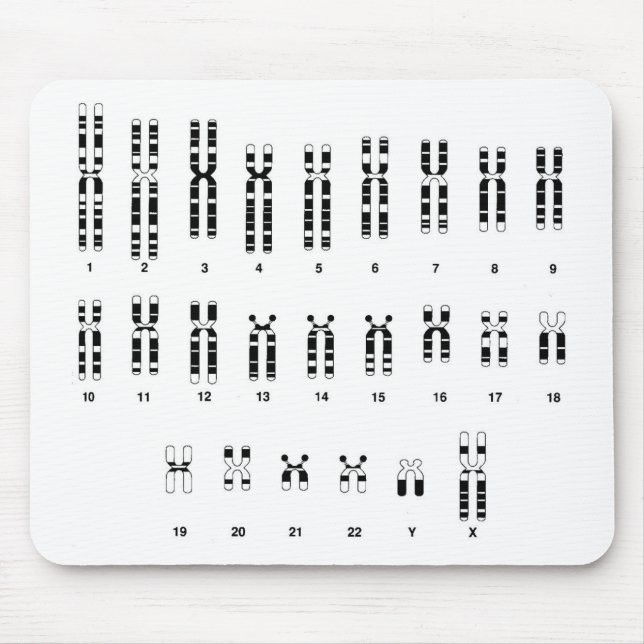 Dna-mousepad Musmatta (Framsidan)