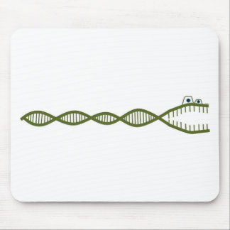 DNA MUSMATTA
