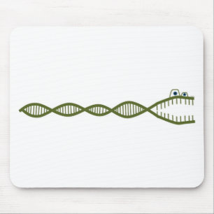 DNA MUSMATTA