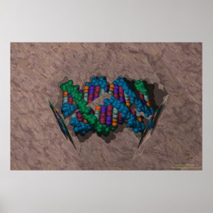 Dna-Paperweight Poster