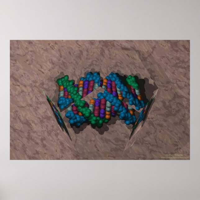 DNA Paperweight Poster (Framsidan)