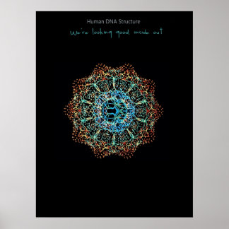 DNA-Poster hos människa Poster