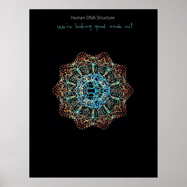 DNA-Poster hos människa Poster (Framsidan)
