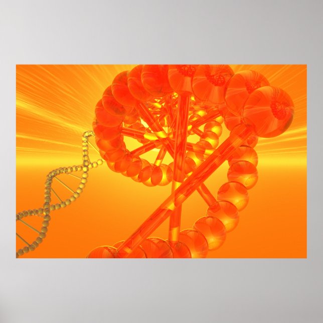 DNA-poster Poster (Framsidan)
