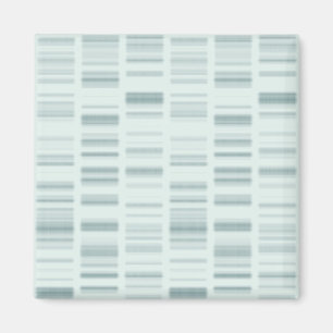 DNA profilerar: Genetiska anvisningar som skapar Magnet