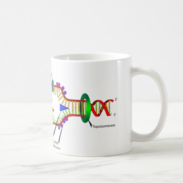 Dna-replication Kaffemugg (Höger)