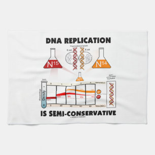 Dna-replicationen är Halv-Konservativet Kökshandduk