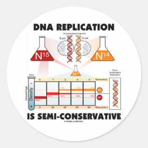 Dna-replicationen är Halv-Konservativet Runt Klistermärke