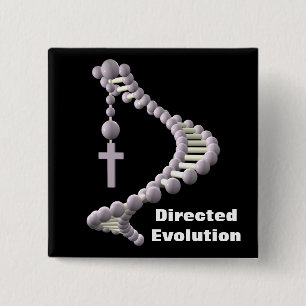 DNA riktad evolution Knapp
