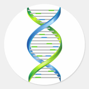 DNA RUNT KLISTERMÄRKE
