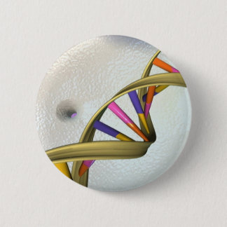 Dna-samlingen Knapp