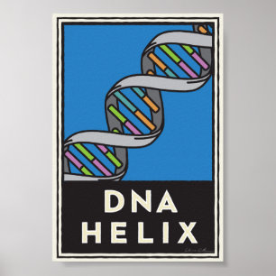 Dna-spiral Poster