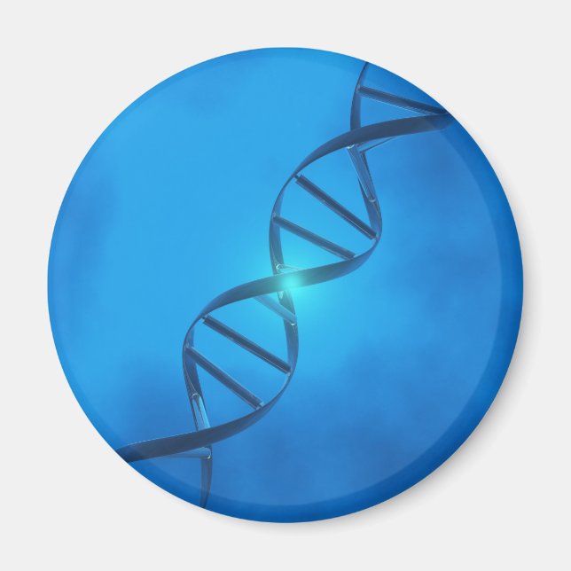DNA Strand Magnet (Framsidan)