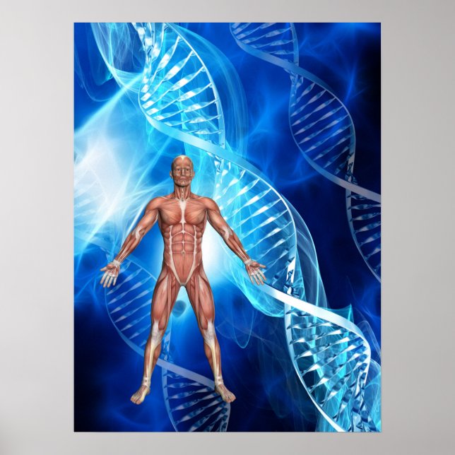 DNA Strand Poster (Framsidan)