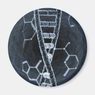 DNA strandar Magnet