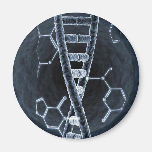 DNA-sträng Magnet (Framsidan)