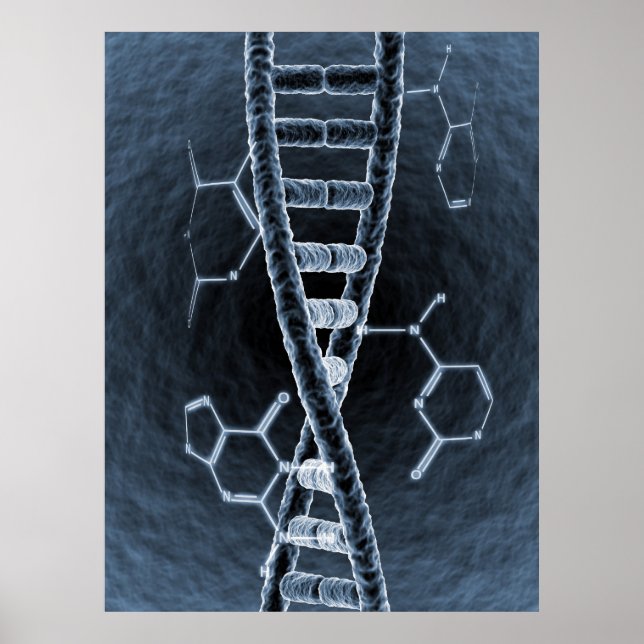 DNA-sträng Poster (Framsidan)