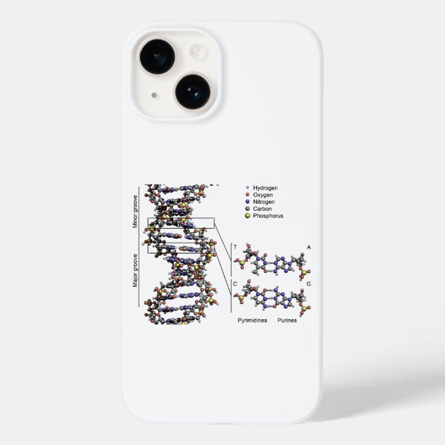 DNA Struktur Deoxyribonukleinsyra Basdiagram (Baksida)