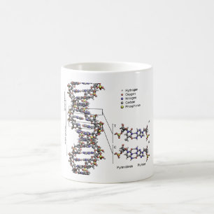 DNA Struktur Deoxyribonukleinsyra Basdiagram Kaffemugg