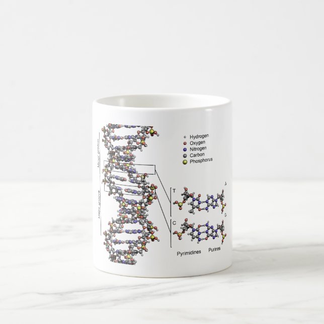 DNA Struktur Deoxyribonukleinsyra Basdiagram Kaffemugg (Center)