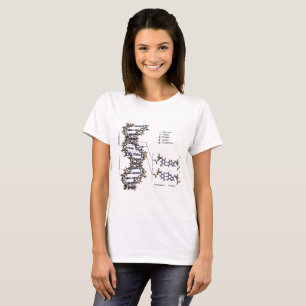 DNA Struktur Deoxyribonukleinsyra Basdiagram T Shirt