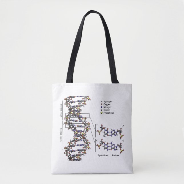 DNA Struktur Deoxyribonukleinsyra Basdiagram Tygkasse (Framsida)