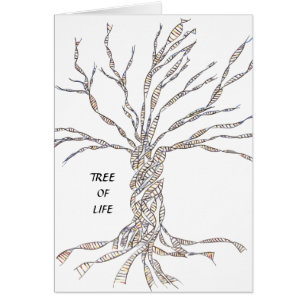 DNA TRÄD eller Livets träd OBS Kort