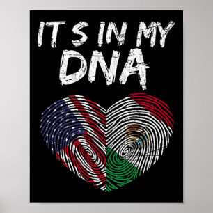 Dna Usa Flagga Amerikansk Mexikansk Flagga Mexiko Poster
