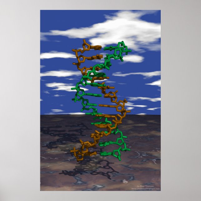 DNA utomhus Poster (Framsidan)