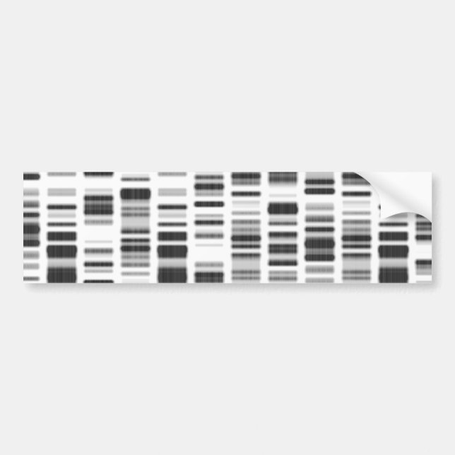 DNA-utskrift - Bildekal (Framsidan)