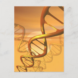 DNA-vykort Vykort