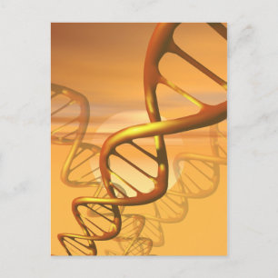 DNA-vykort Vykort