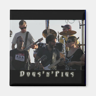 D'n'P Band Magnets 2 Magnet