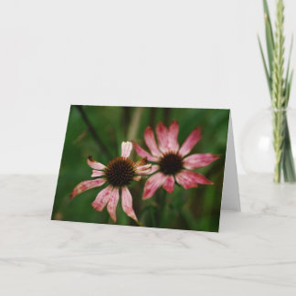 Dö blommahälsningkortet kort