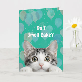 Do I Smell Cake Cute kitten Birthday Card Kort