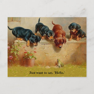 Doachshund Puppies, Frog, Hej alt Vintage art cpy Vykort
