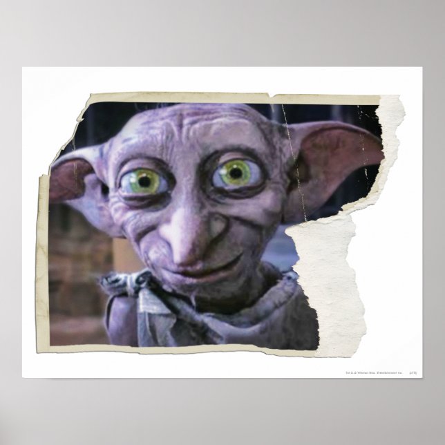 Dobby 1 poster (Framsidan)