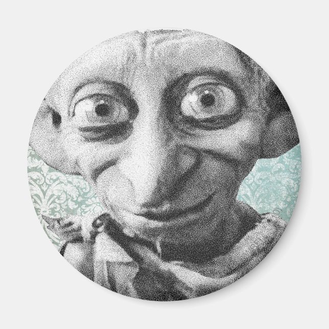 Dobby 4 magnet (Framsidan)