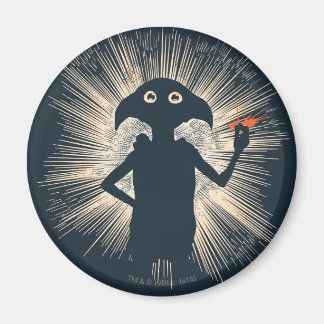 Dobby kastar magi magnet