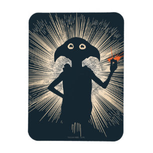 Dobby kastar magi magnet