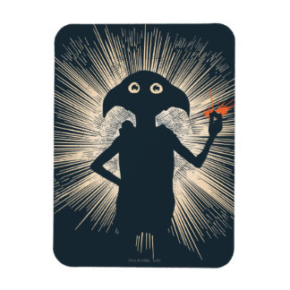 Dobby kastar magi magnet