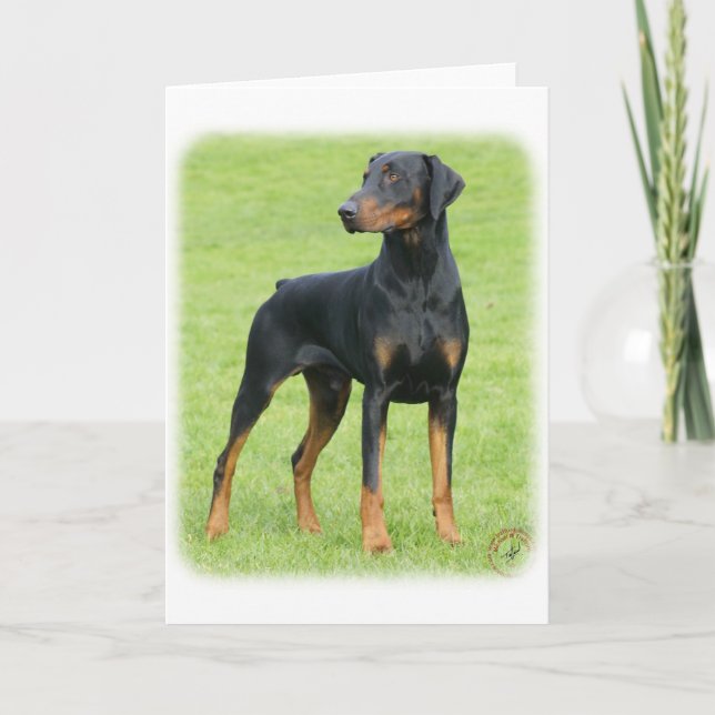 Doberman 9P99D-47 Kort (Framsida)