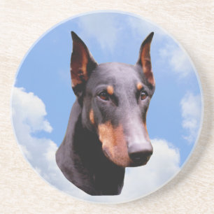 Doberman Ansikte Hund Animal Underlägg