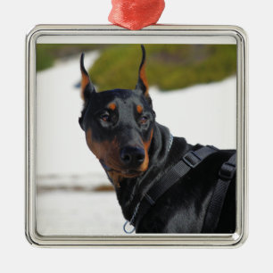 Doberman - Black - Bogie Julgransprydnad Metall