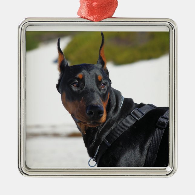 Doberman - Black - Bogie Julgransprydnad Metall (Framsidan)