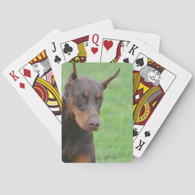 Doberman Casinokort (Baksidan)
